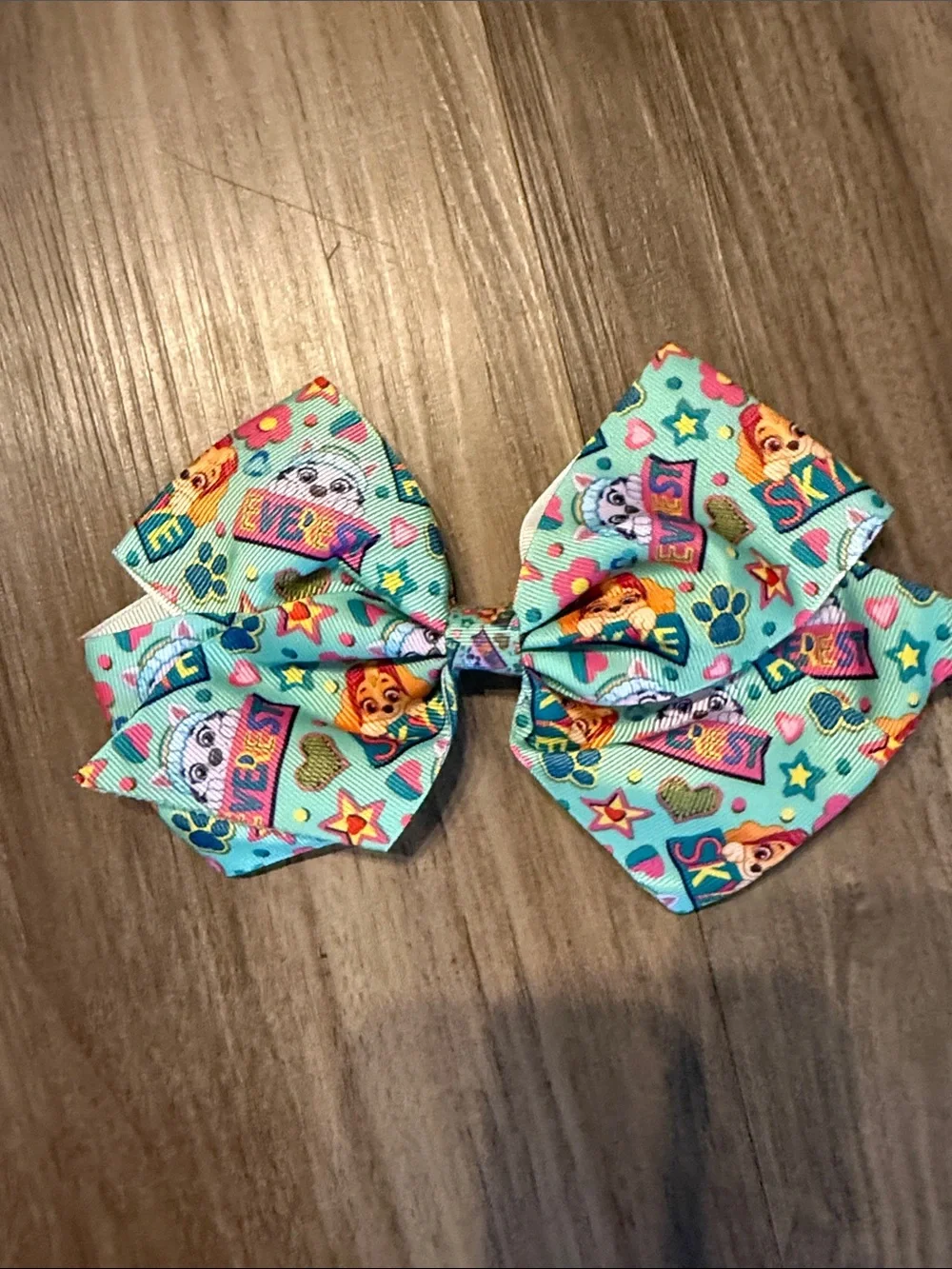 Paw Patrol- Skye & Everest
